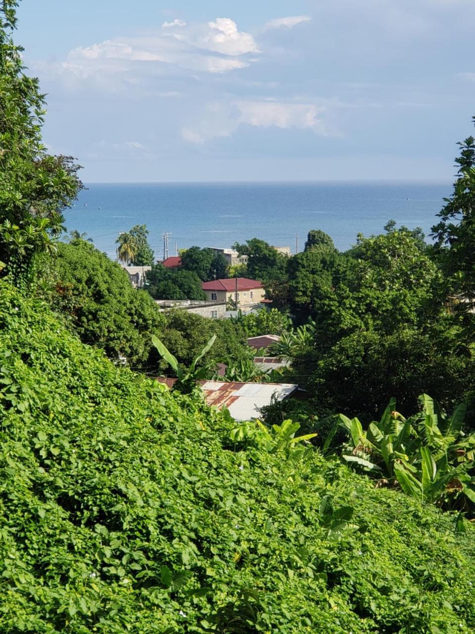 Viva Violas Port Antonio Eksteriør billede