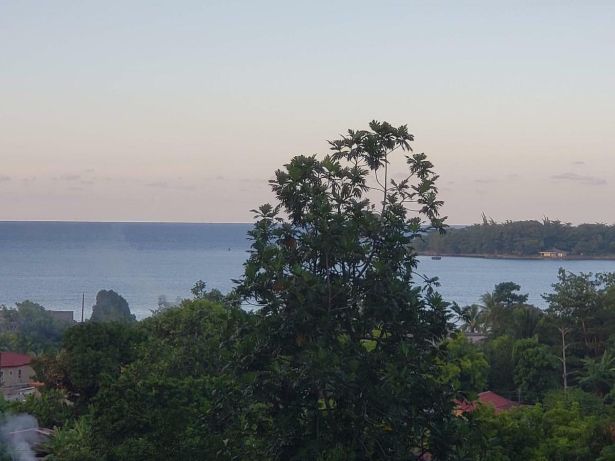 Viva Violas Port Antonio Eksteriør billede