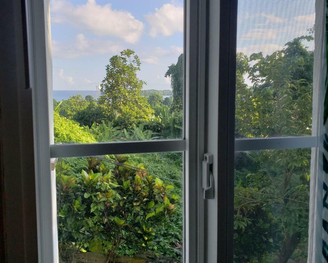 Viva Violas Port Antonio Eksteriør billede