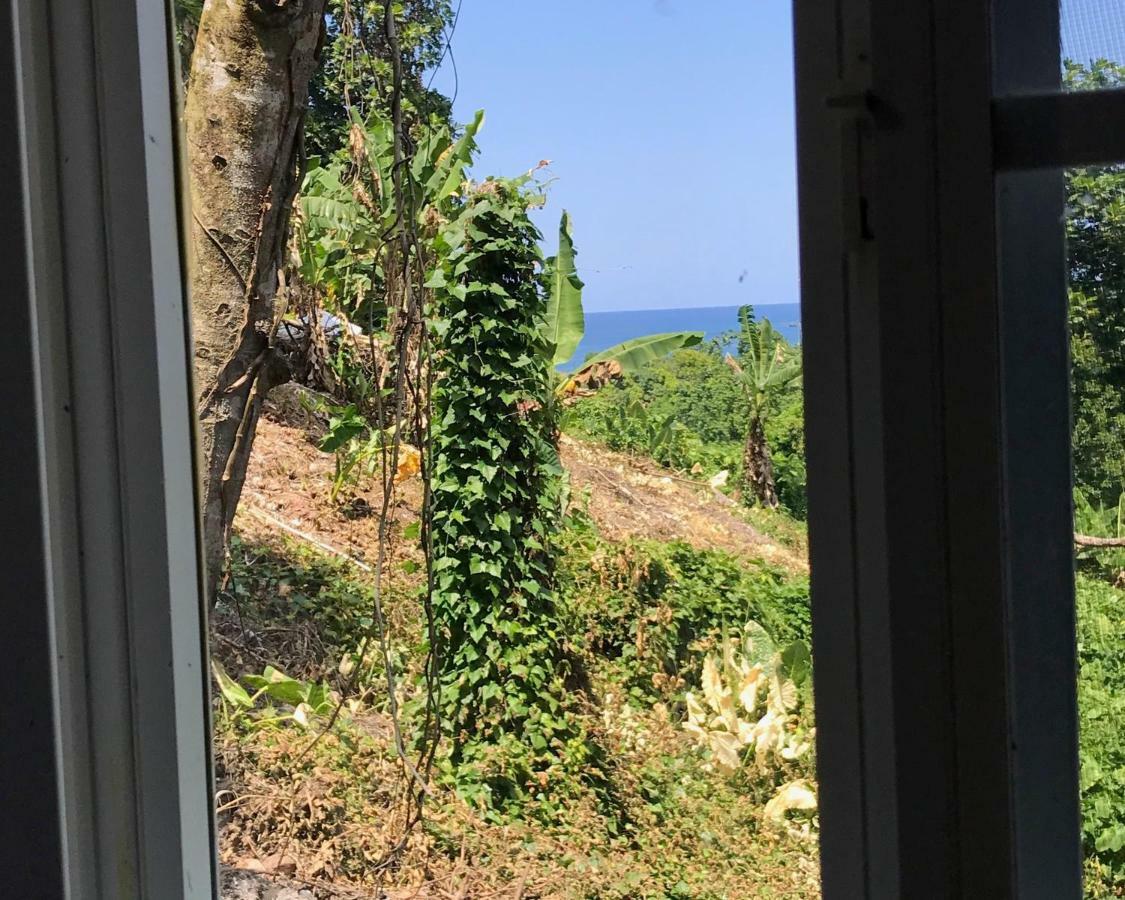 Viva Violas Port Antonio Eksteriør billede